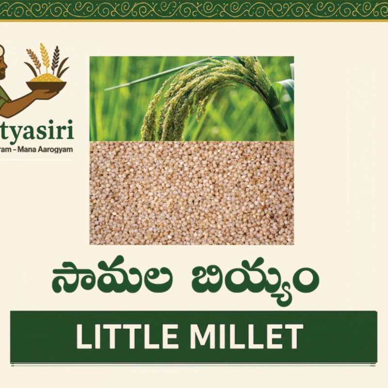Little Millet (Samalu)